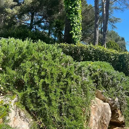 Villa Les Jasmins - Le Cannet-vallauris - Modern With Ac, Ideal For Fun And Work